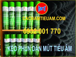 Bán keo dán mút hột gà tiêu âm dạng phun không mùi quận Thủ Đức TP HCM