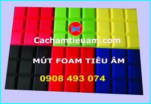 BÁN MÚT TIÊU ÂM CHẬM CHÁY 9 Ô VUÔNG QUẬN THỦ ĐỨC