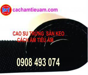 BÁN MÚT TRỨNG CÓ SẴN KEO CÁCH ÂM TIÊU ÂM CHỐNG CHÁY