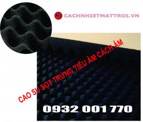 Cao su cách âm, tiêu âm máy phát điện tại Thủ Đức, Dĩ An, Biên hoà Đồng Nai