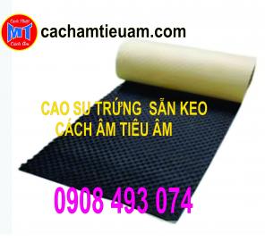 CAO SU TRỨNG CHỐNG CHÁY HẤP THU ÂM THANH PHÒNG NGHE NHÌN