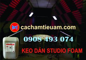 Keo dán mút Studio Foam