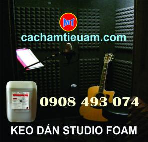 Keo dán mút tiêu âm phòng thu âm