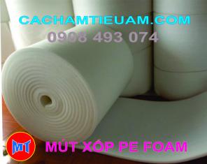 MÚT FOAM TRẮNG