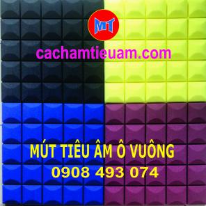 MÚT TIÊU ÂM HÌNH Ô VUÔNG QUẬN 9, QUẬN 12, QUẬN THỦ ĐỨC TP HỒ CHÍ MINH