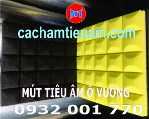 MÚT TIÊU ÂM Ô VUÔNG TẠI THUẬN AN, DĨ AN, TÂN UYÊN BÌNH DƯƠNG