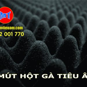 Mút Hột Gà (Mút Gai Tiêu Âm) – Giải Pháp Tiêu Âm, Cách Âm Hiệu Quả Cho Phòng Thu Và Karaoke